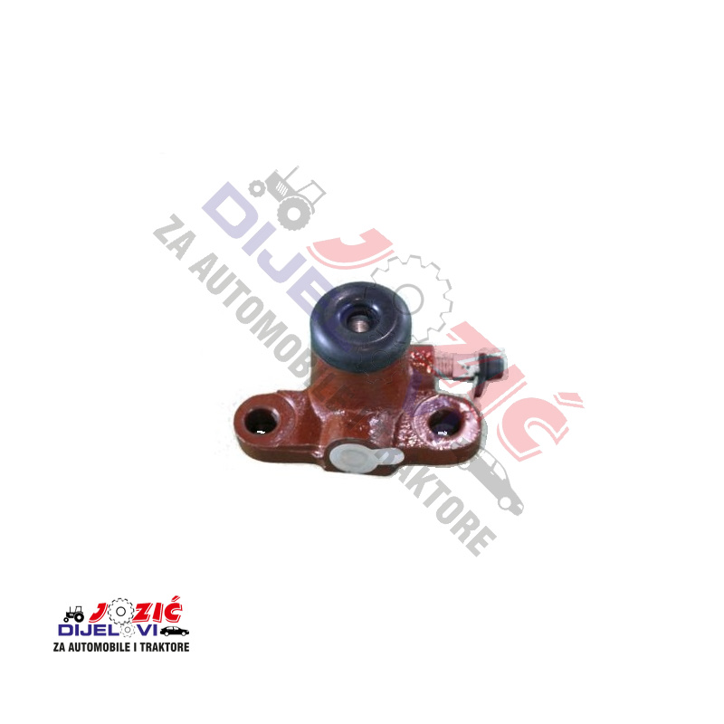 Daisy on the Ohoopee